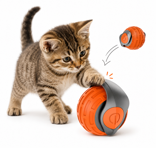 Interactive Cat Ball Toy – Motion Activated